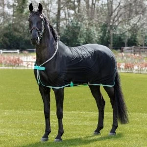 Image of Amigo Net Cooler - Black/Teal