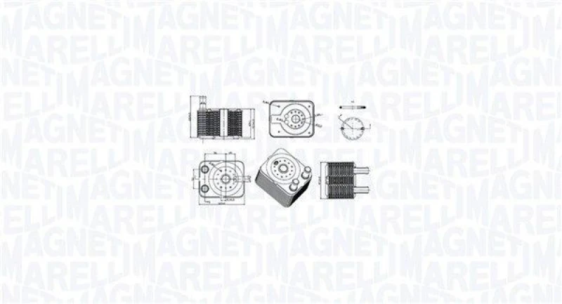 Image of MAGNETI MARELLI Engine oil cooler MAGNETI MARELLI 350300003100