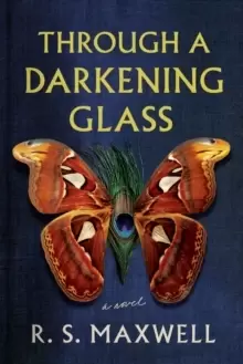 Image of Through a Darkening Glass : A Novel