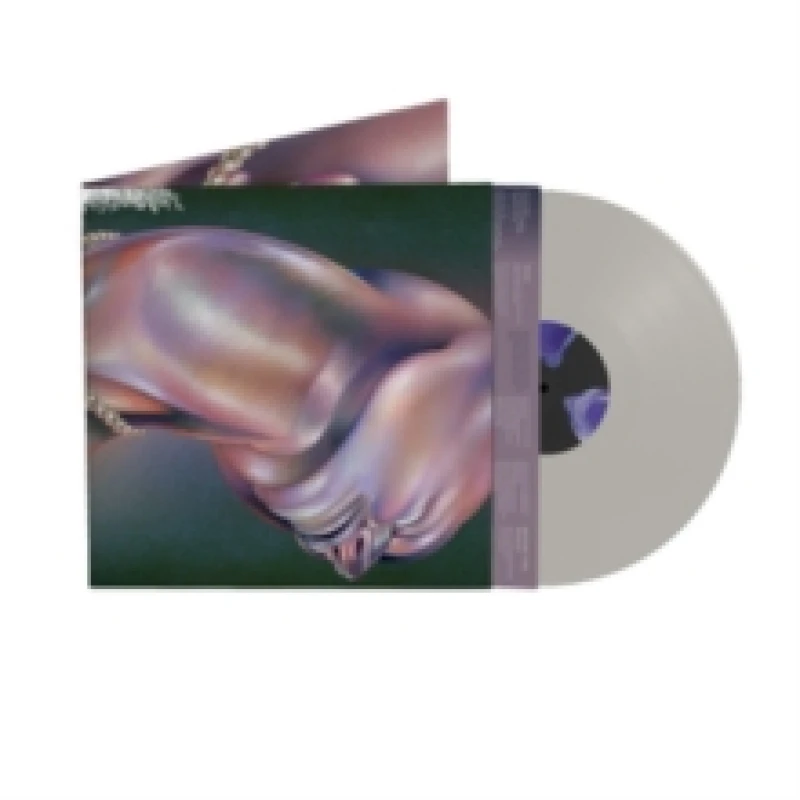 Image of The Warping Vinyl