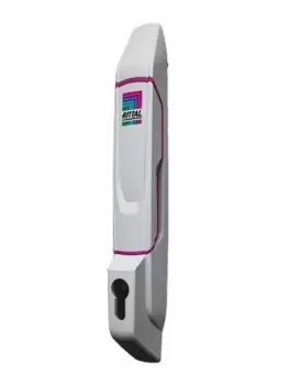 Image of Rittal Stainless Steel, Swing Locking Handle