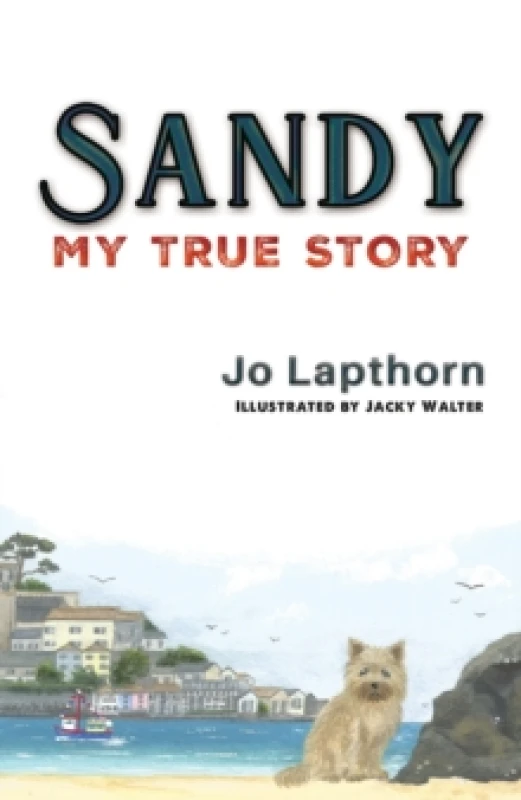 Image of Sandy : My True Story Paperback / softback