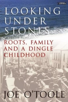 Image of Looking under Stones by Joe Otoole Hardback