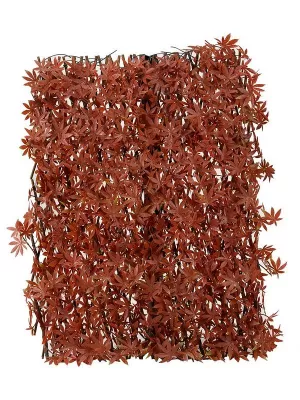 image of Smart Solar Red Acer Leaf 180 X 90Cm Trellis