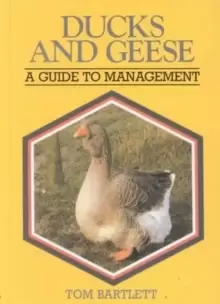 Image of Ducks & Geese