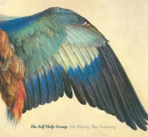 Image of Not Waving But Drowning by The Self Help Group CD Album