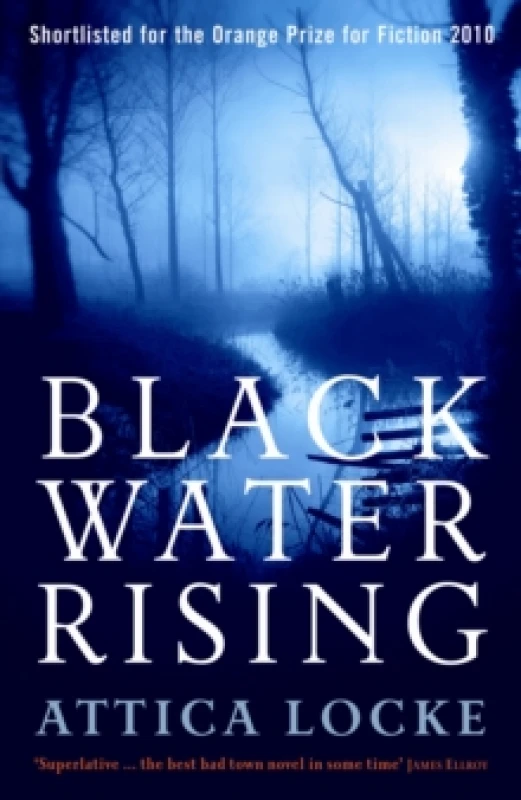 Image of Black Water Rising by Attica Locke Paperback