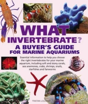 Image of What Invertebrate by Tristan Lougher Paperback