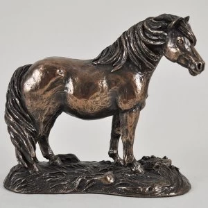 Image of Shetland Pony by Harriet Glen Cold Cast Bronze Sculpture 12.5cm
