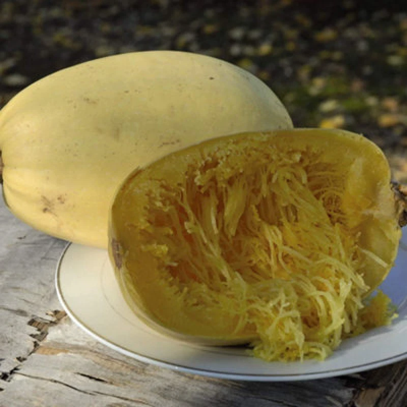 Image of Thompson & Morgan Squash Spaghetti Primavera F1 1 Seed Packet