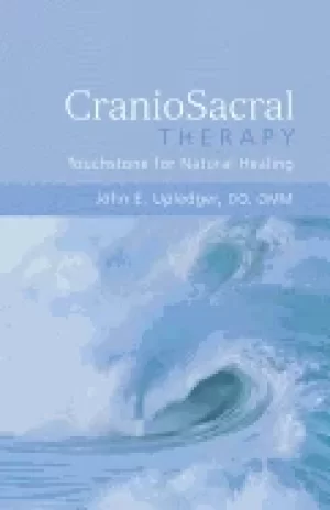 Image of craniosacral therapy