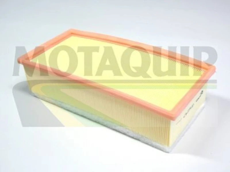 Image of MOTAQUIP Air filter MOTAQUIP VFA1147