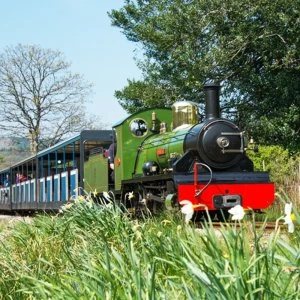 Image of Buyagift Cream Tea And Steam Gift Experience For Two