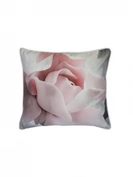 Image of Ted Baker Porcelain Rose 45X45Cm Feather Filled Cushion