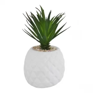 Image of Succulent In Pineapple Shaped Pot