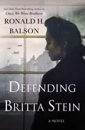 Image of defending britta stein a novel