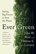 Image of ever green saving big forests to save the planet