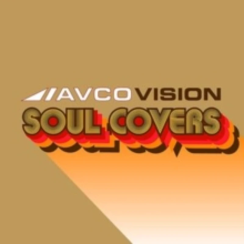 Image of Avco Vision: Soul Covers Vinyl