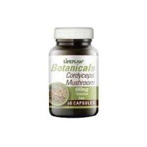 Image of Lifeplan Shiitake Mushroom 80,000iu 60 capsule