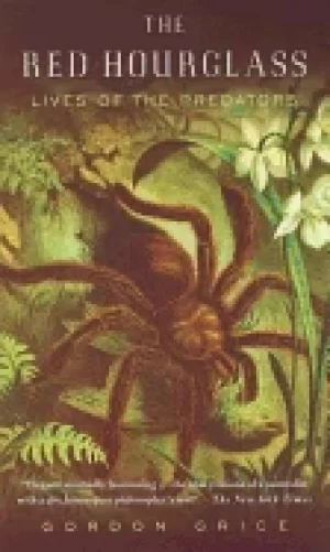 Image of red hourglass lives of the predators