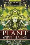 Image of plant spirit healing a guide to working with plant consciousness