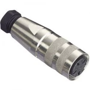 Image of Amphenol C091 31D003 100 2 Circular Connector Nominal current details 5 A Number of pins 3 DIN