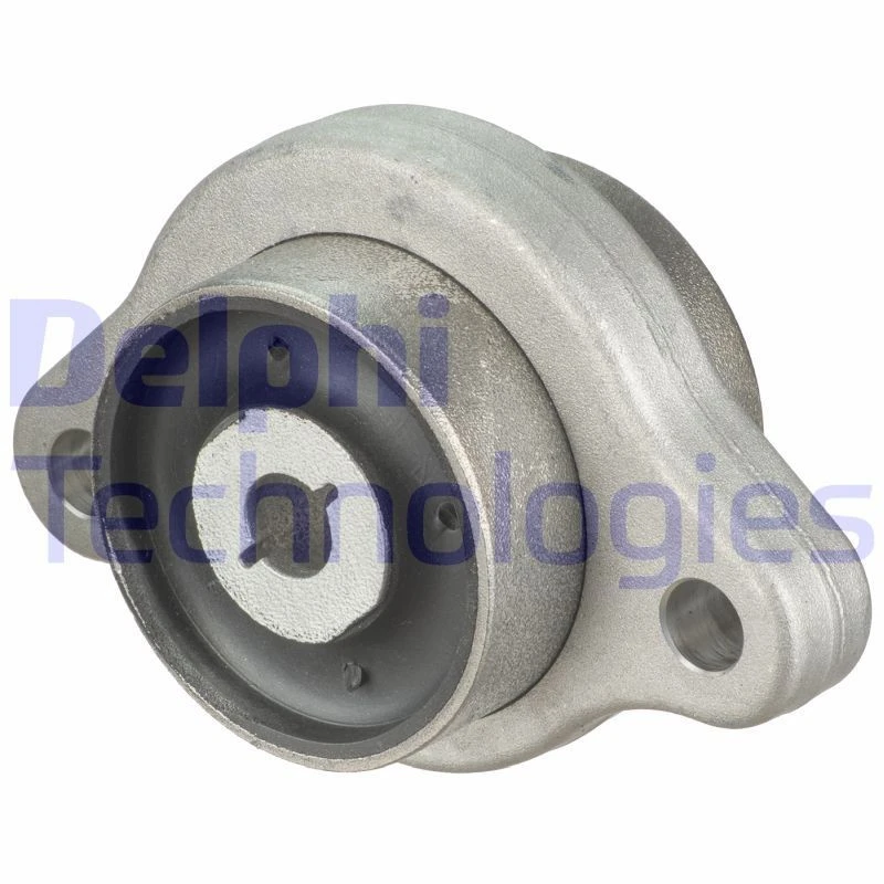 Image of DELPHI Trailing arm / Suspension arm bush DELPHI TD1834W
