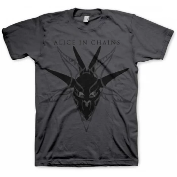 image of Alice In Chains Black Skull Mens Large T-Shirt - Black