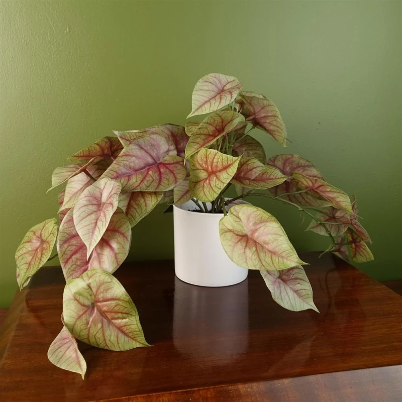 Image of Leaf 30cm Artificial Pink Caladium Potted Trailing Plant Realistic Green