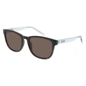 image of Puma Women Sunglasses PE0120S - Blue