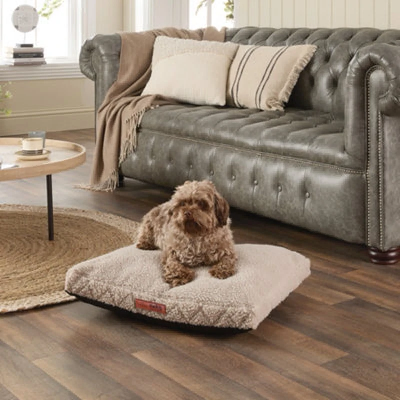 Image of Slumberdown Slumberdown Paws for Slumber Sherpa Large Ped Bed in Beige Size: Medium Beige M Unisex 5012924074703