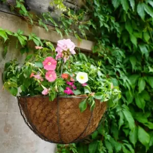 Netted Wire Outdoor Hanging Basket Zinc