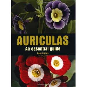 Image of Auriculas: An Essential Guide by Paul Dorey (Hardback, 2011)