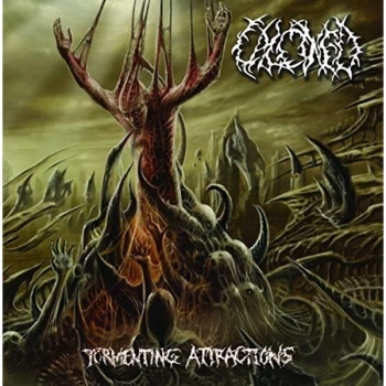 image of Calcined - Tormenting Attractions CD