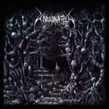 Image of In the Forest of the Dreaming Dead
