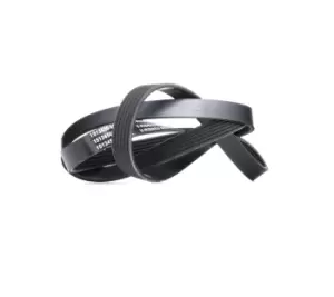 Image of RIDEX V-ribbed belt VW,FORD,RENAULT 305B0285 46769821,51855784,71739910 Serpentine belt,Auxiliary belt,Poly V-belt,Ribbed belt,Multi V-belt,Poly belt