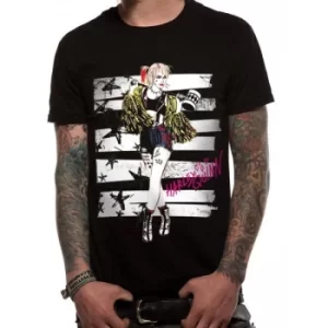 Image of Birds Of Prey Stripes And Stars Unisex T-Shirt Ex Ex Large