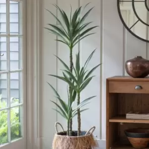 Image of Crossland Grove Yucca Tree W/3 Heads 600X600X1500Mm