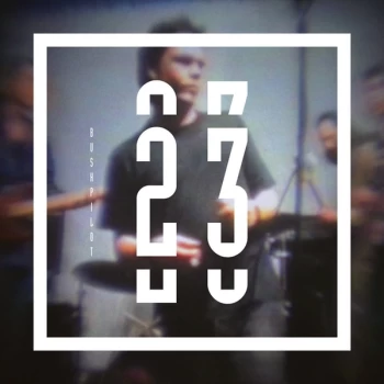 Image of Bushpilot - 23 Vinyl