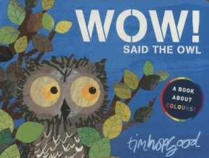 Image of Wow Said the Owl by Tim Hopgood Book