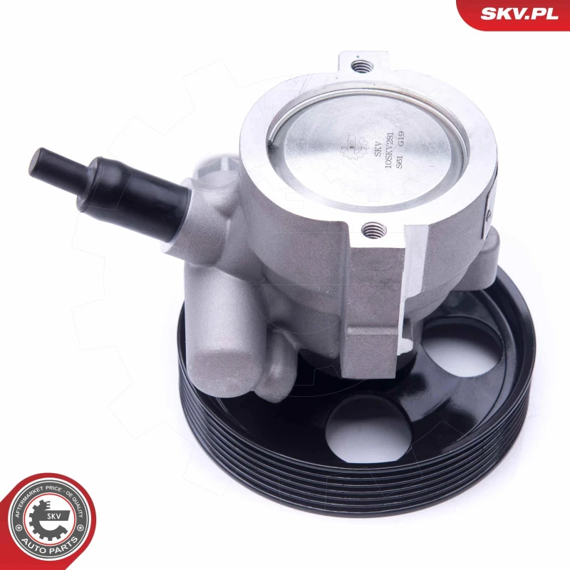 Image of ESEN SKV Power steering pump ESEN SKV 10SKV281