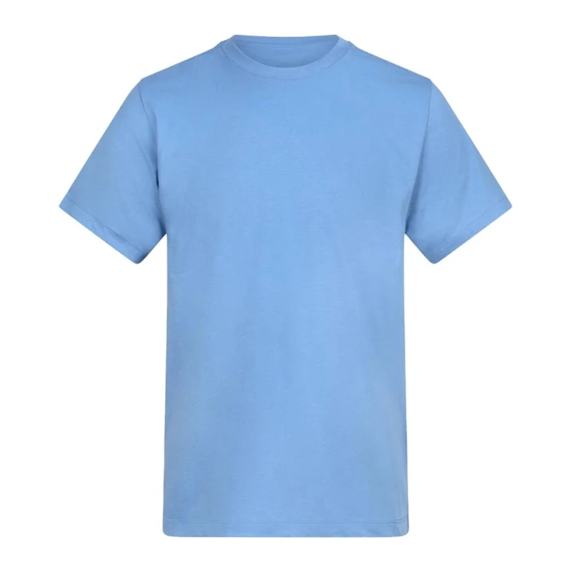 Image of Awdis PC7772 mens T shirt in Blue