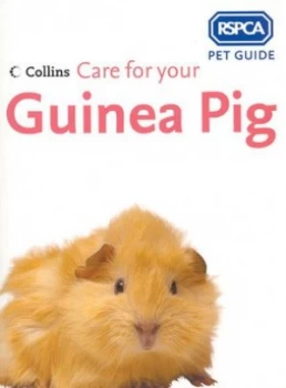 Image of Care for Your Guinea Pig. Paperback
