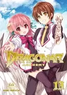 Image of dragonar academy vol 13
