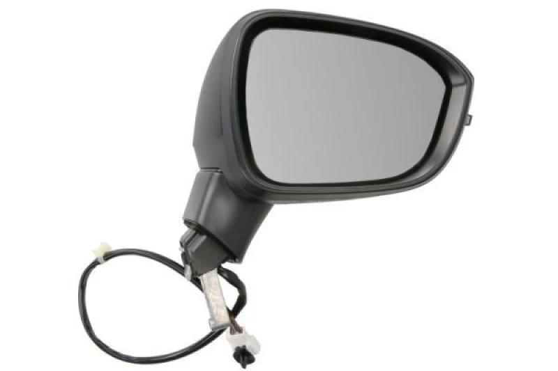 Image of BLIC Wing mirror BLIC 5402-16-2556311P