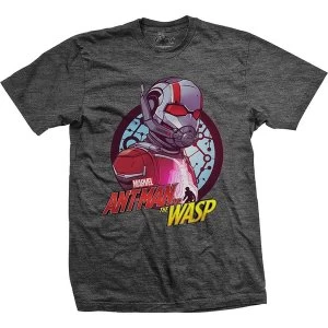 Image of Marvel Comics - Ant Man & The Wasp Circle Comp. Unisex Medium T-Shirt - Grey