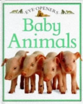 Image of Baby Animals by Angela Royston Hardback