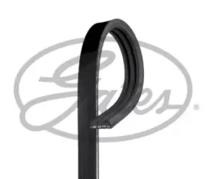 Image of Micro-V Multi-Rib Stretch Fit Belt Gates 3PK798SF