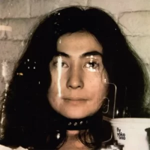 Image of Fly by Yoko Ono Vinyl Album
