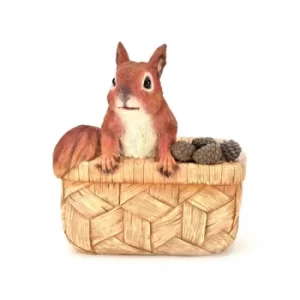 image of Country Living Squirrel in a Basket Planter